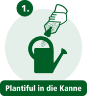 Schritt 1: Plantiful in die Kanne